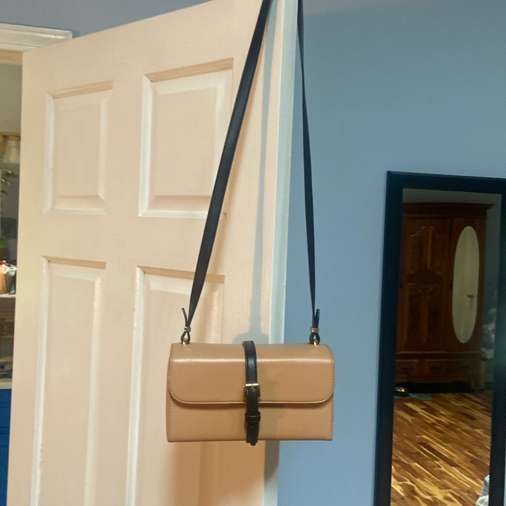 Light beige pink purse with black detailing